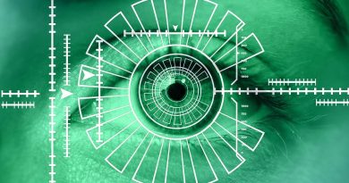 Iris recognition systems
