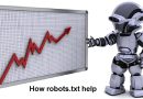 robots txt in seo
